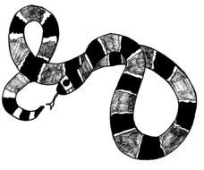 painted gray black striped snake
