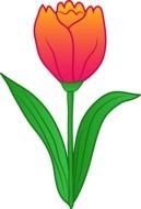Tulips Flowers clipart