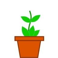 Plant Pot Hd Walls Find Wallpapers