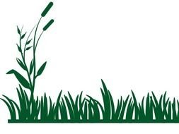 Grass Hill Panda Free Images N3