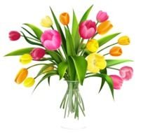 Back &amp;gt Flowers For Tulip Bouquet