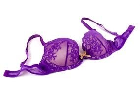 purple lace bra for a clip art