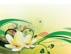 banner with green lines and white flowers