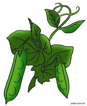 Parts Of Animal And Plant Cells Hotlist