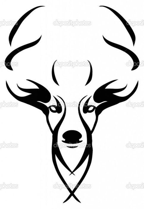 Drawing of Deer's head