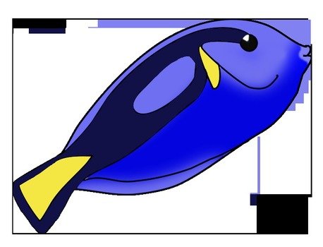 Colorful Fish Panda Free Images N2
