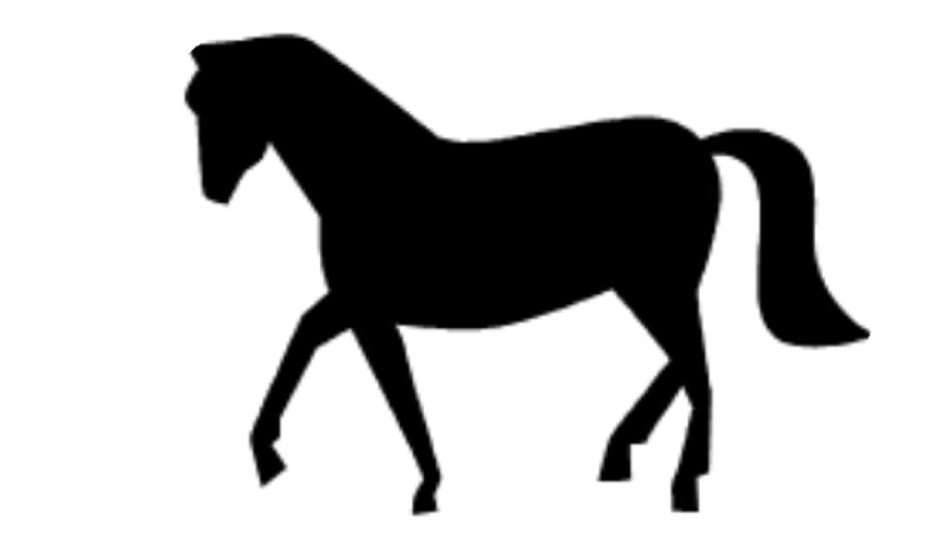 Horse black as a picture for clipart