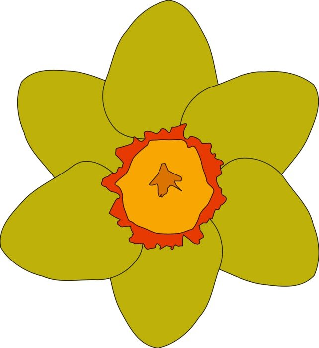 Flower green drawing