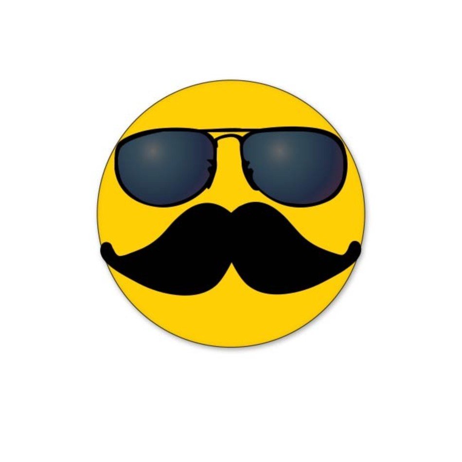 With Mustache And Sunglasses Panda Free Images N2