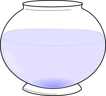 Fish Aquarium Best