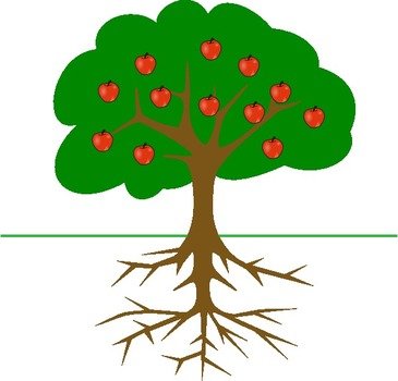 Bare Apple Tree Panda Free Images