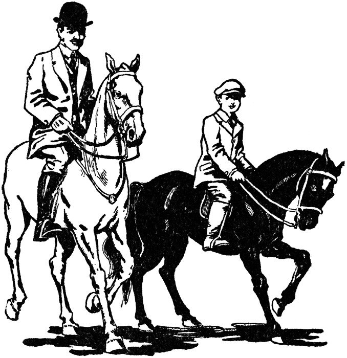 Horse Riding Horses 6 678x700
