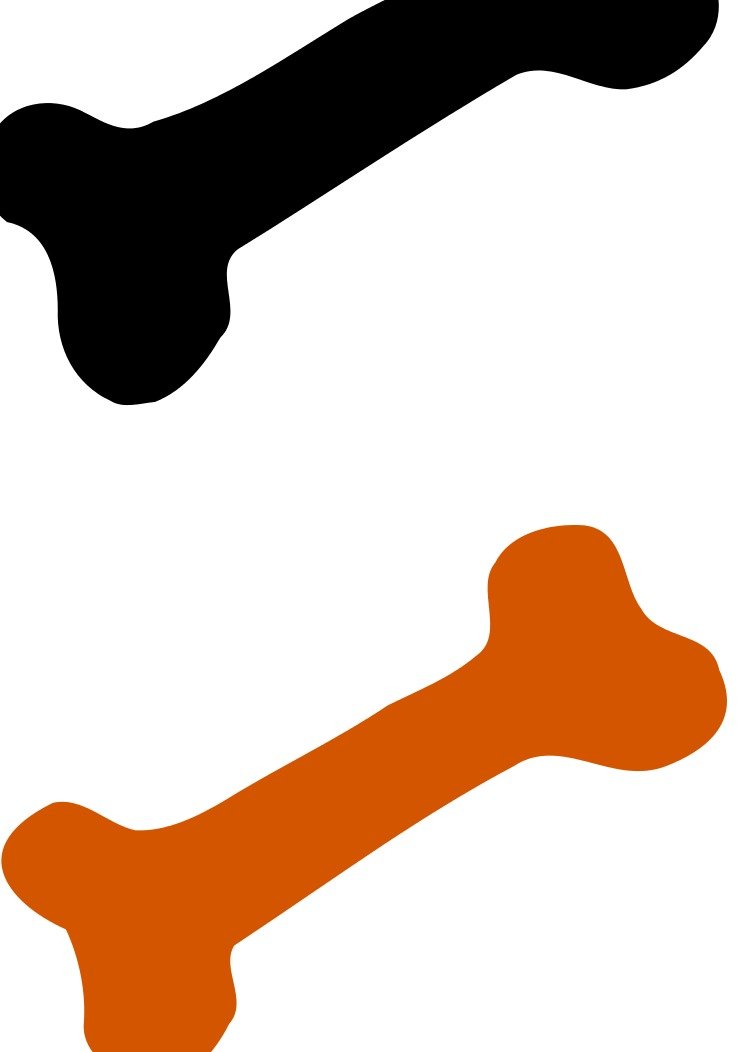 drawn black and orange bones