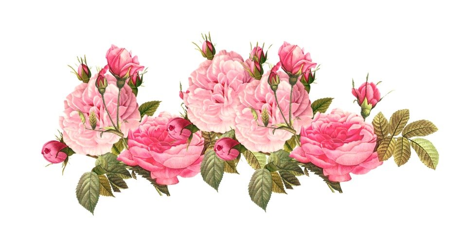 clipart of the Vintage Roses