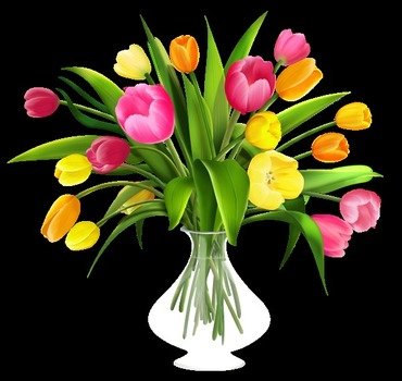 Back &gt Flowers For Tulip Bouquet