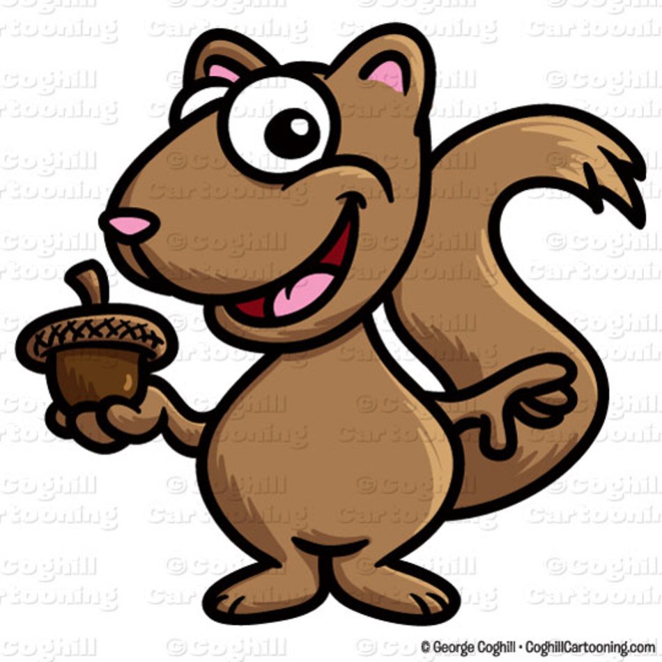 Cartoon Squirrel Stock Illustration Coghill Cartooning