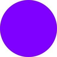 purple circle in a black square