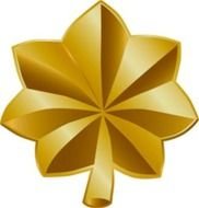 Air Force Rank Success