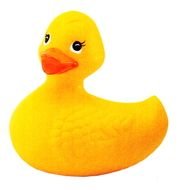 yellow rubber duck