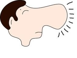 14 Photos Dans La Galerie Dimage Nose