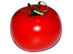 Clip Art of the tomato