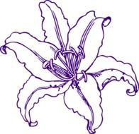 Purple Lilly At Clkercom Vector Online Royalty