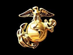 Cool digital art, goldrn 3d Usmc symbol