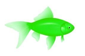 neon Green Fish drawing