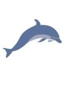 blue dolphin in jump, drawing