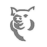 Pumpkin Jca Pig Pattern
