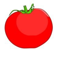 red tomato cartoon drawing