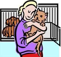Are You Looking For An Opportunity To Volunteer With Animals Does