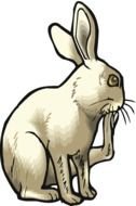 clipart of the rabbit