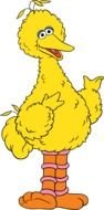 yellow cartoon duck as a picture for clipart
