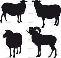 Photo Sheep Silhouette Image 2544735