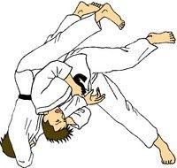16 Judo Frees That You Can Download To Computer