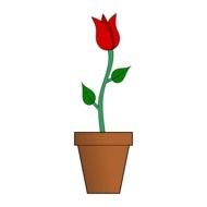 painted red tulip in a pot