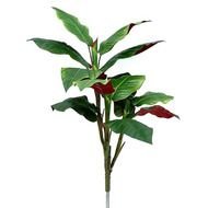 Taro Leaf Http wwwartificialplantsandtreescom psa1206html
