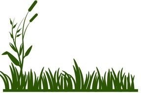Green Grass Border Panda Free Images N2
