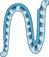 drawing of a blue sea animal