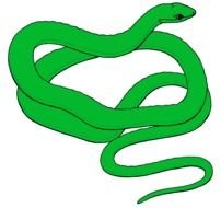 Green long snake clipart