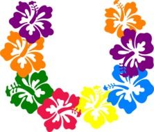 Clipart of the colorful Hawaiian Frames