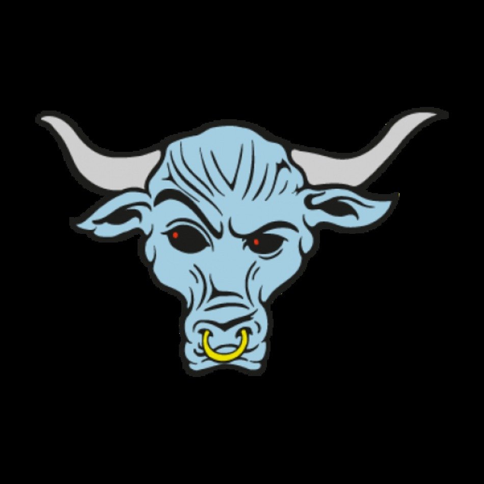 head of a bull on a black background