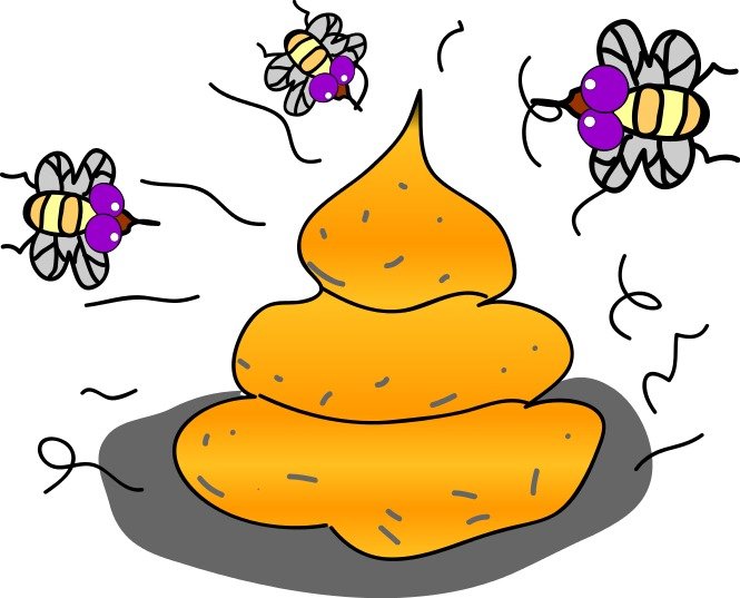 Flys Shit Feces Svg Vector