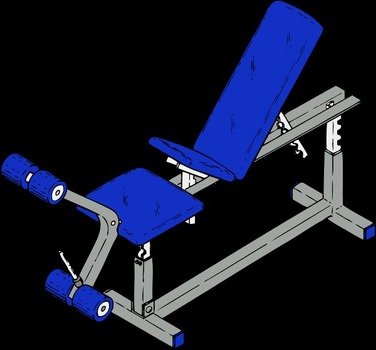 Exercise Bench Vector