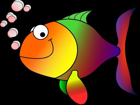 colorful fish on a black background as a picture for clipart