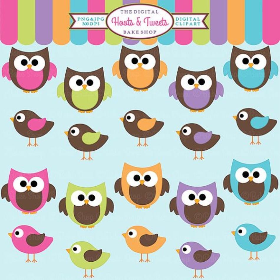 Owls Digital Birds Animals Hoots And Tweets