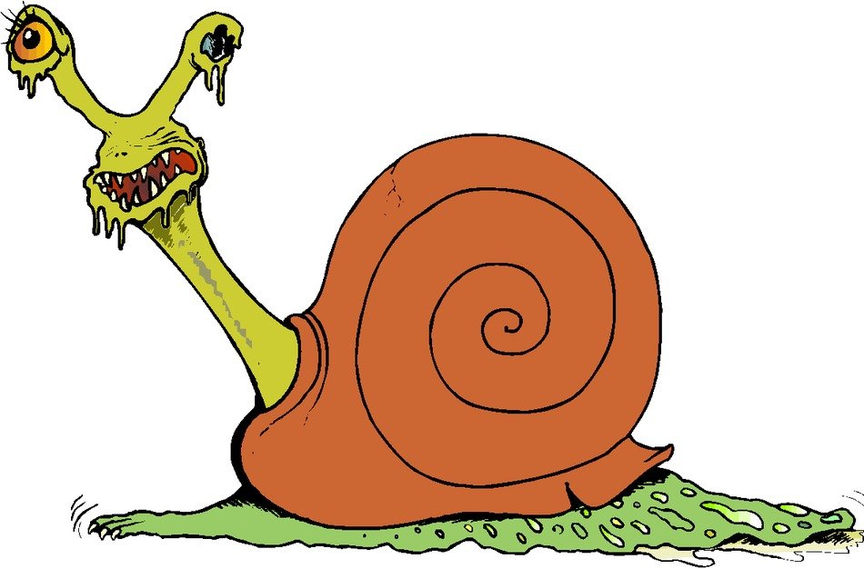 Snail moster drawing