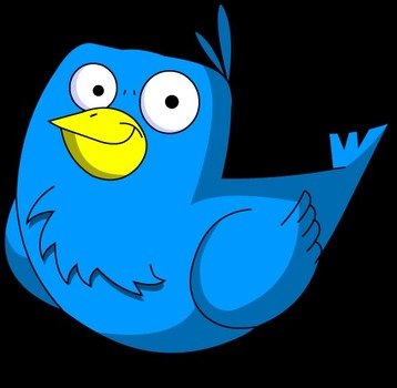 Bird Cartoon Pictures Sco