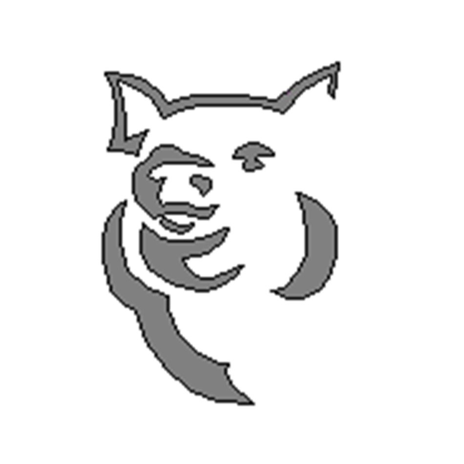 Pumpkin Jca Pig Pattern